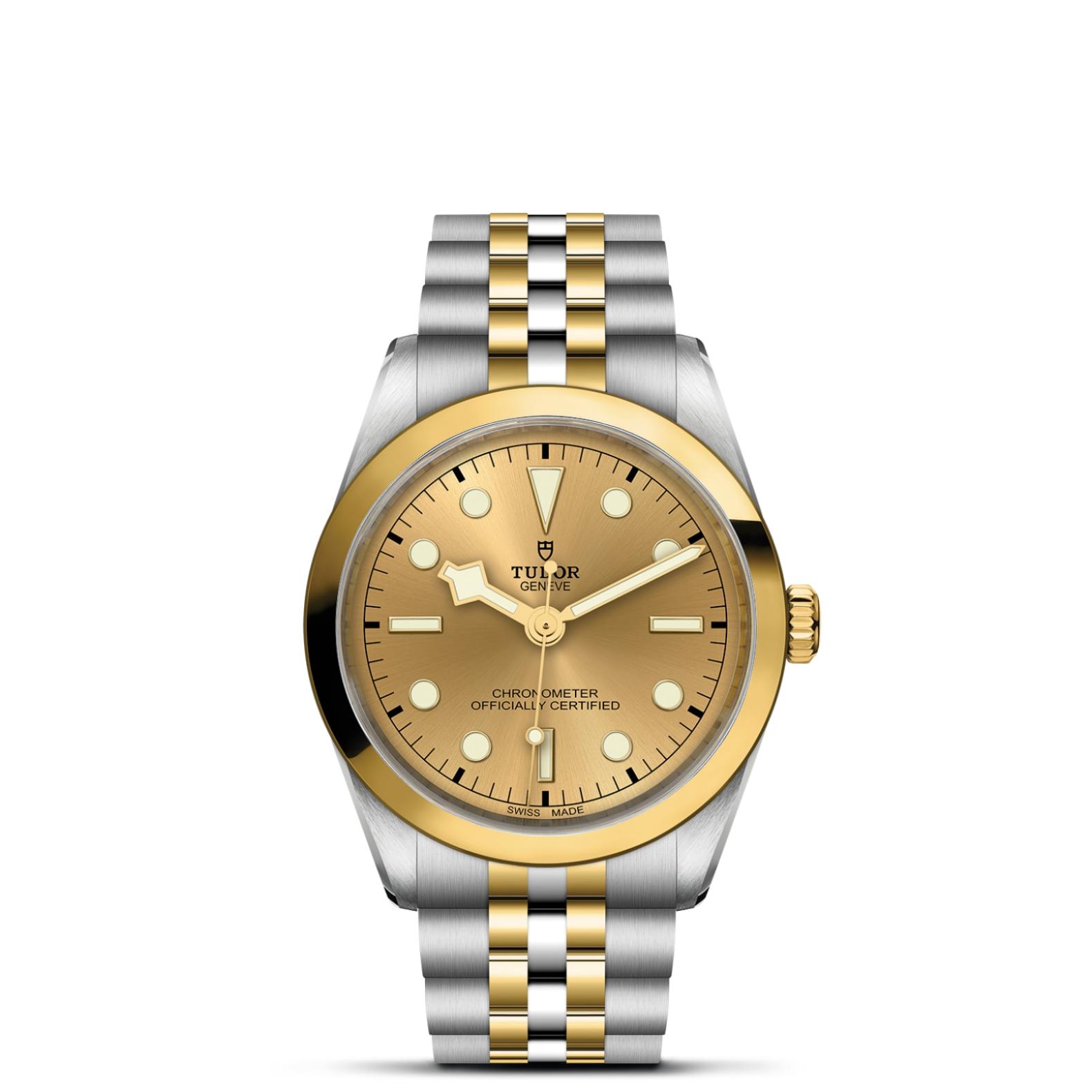 TUDOR Black Bay 31/36/39/41 S&G Watch - M79643-0005 at Lenkersdorfer