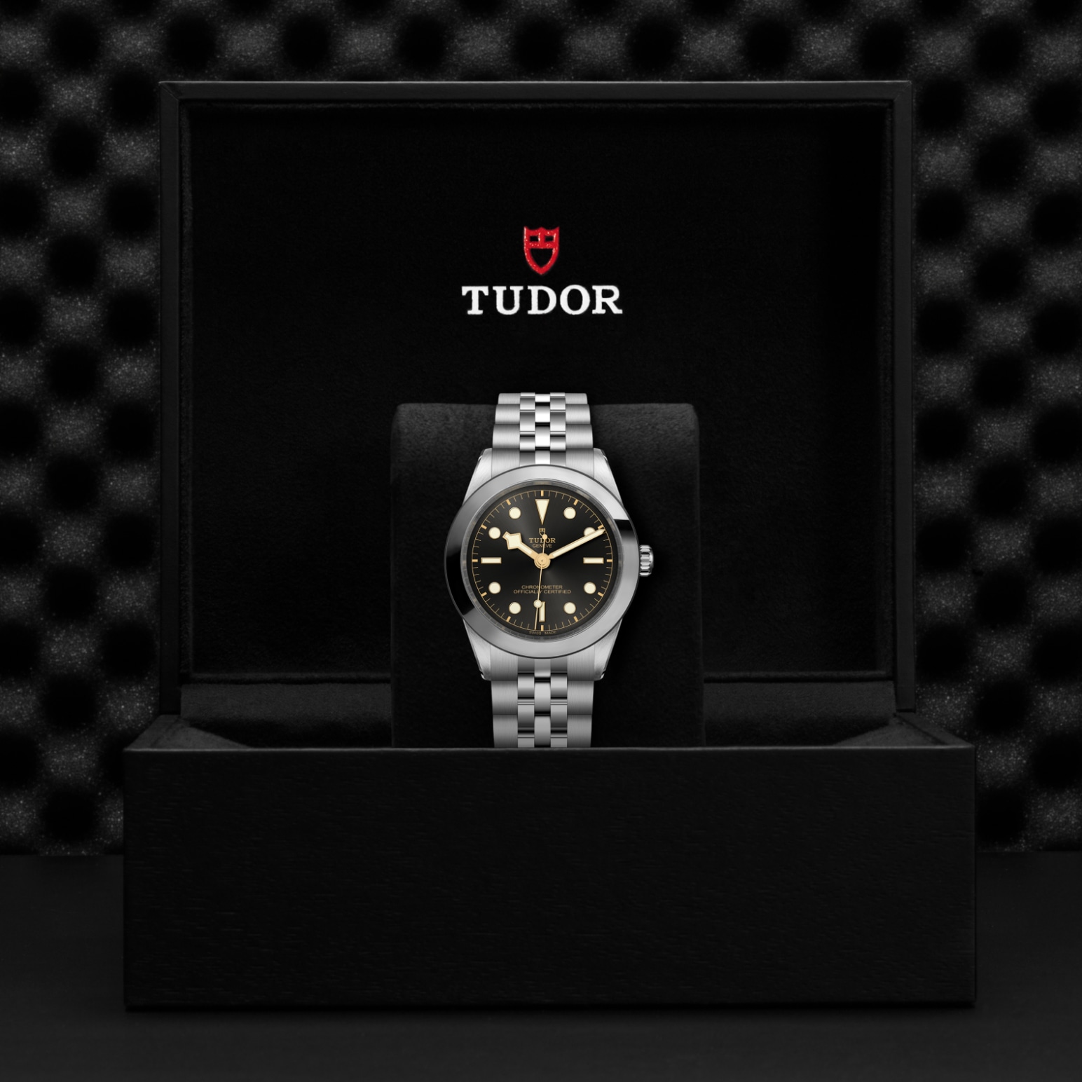 TUDOR Black Bay 31/36/39/41 Watch - M79660-0001 at Lenkersdorfer