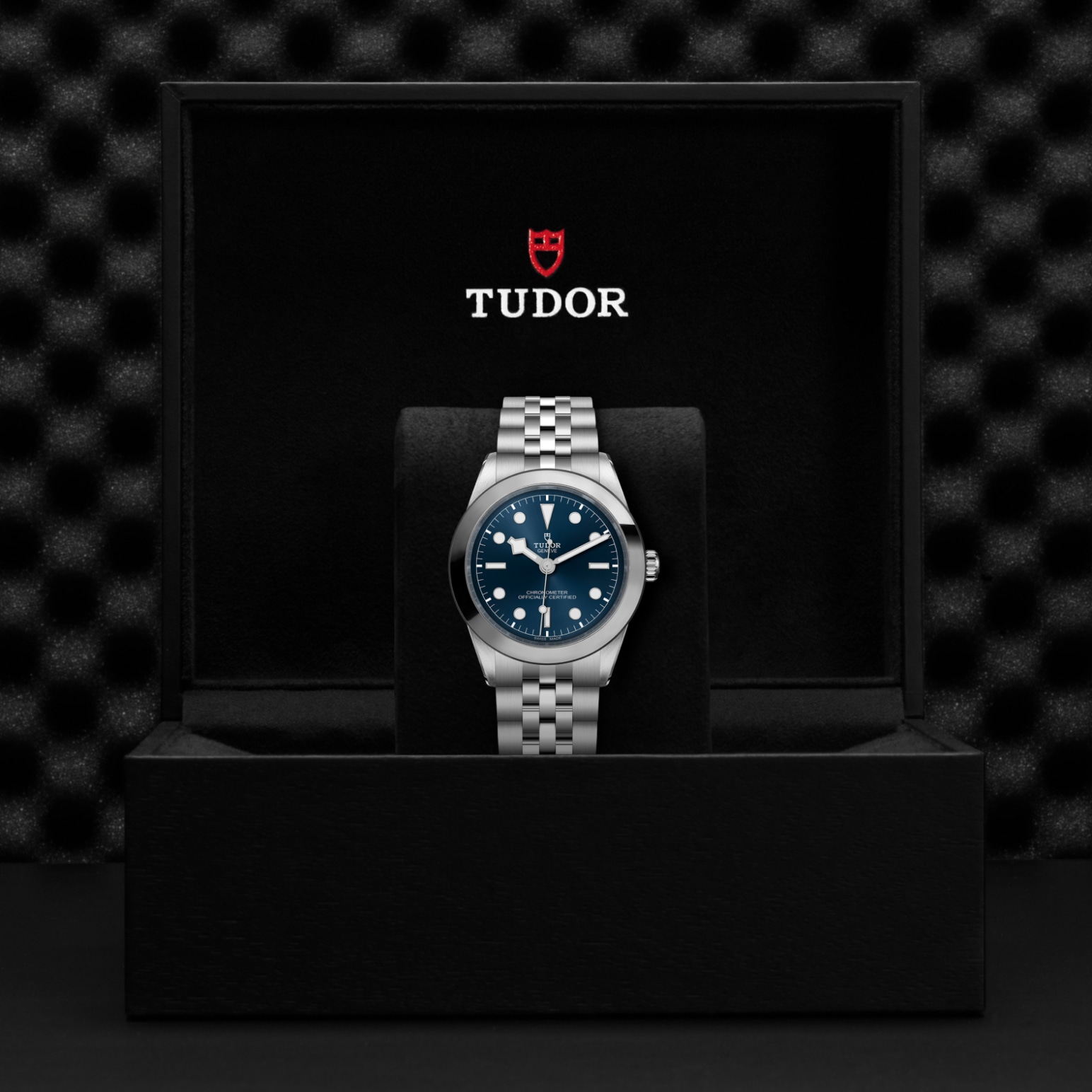 TUDOR Black Bay 31/36/39/41 Watch - M79660-0002 at Lenkersdorfer