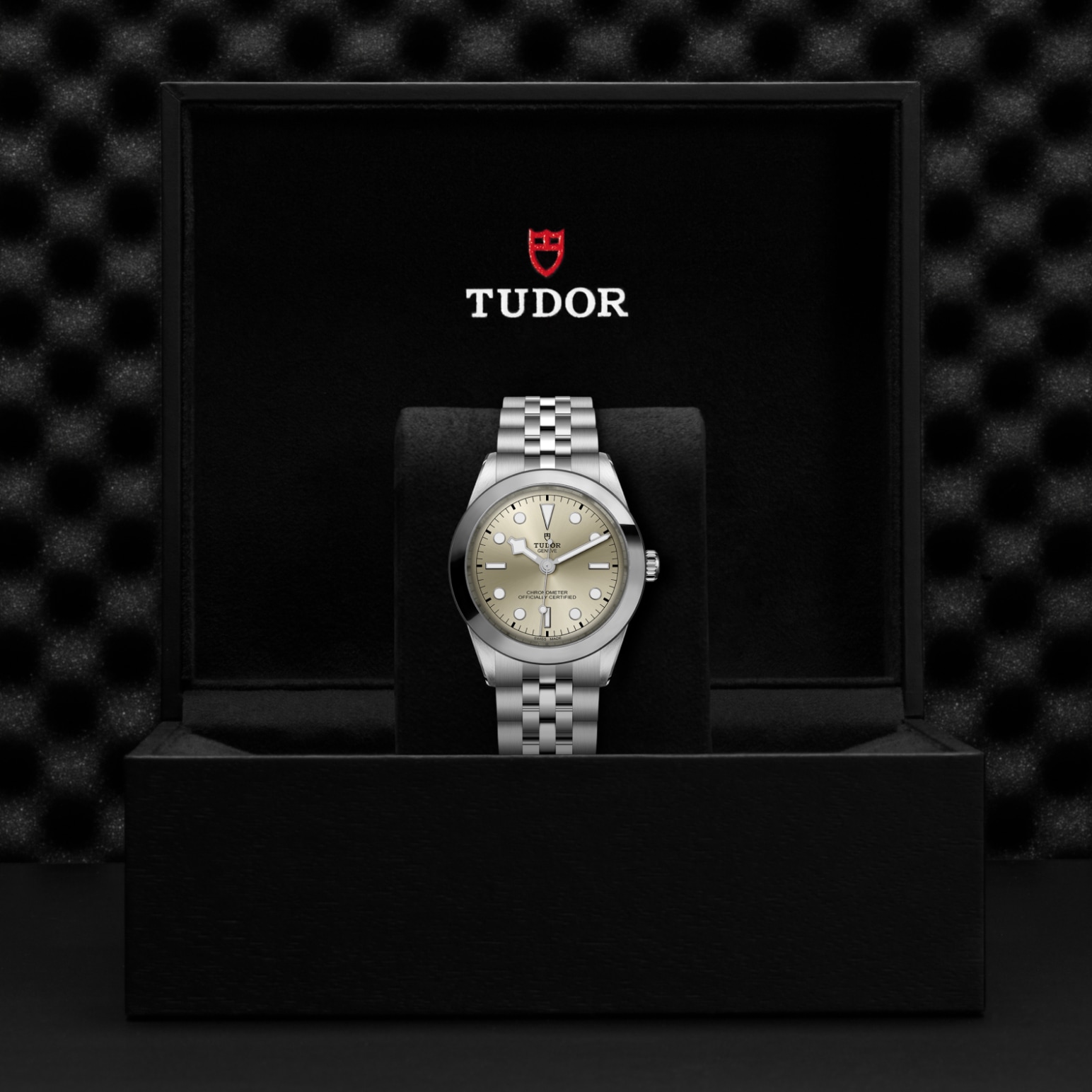 TUDOR Black Bay 31/36/39/41 Watch - M79660-0003 at Lenkersdorfer
