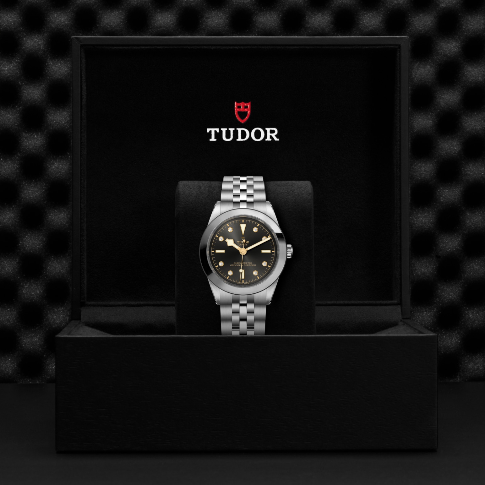 TUDOR Black Bay 31/36/39/41 Watch - M79660-0004 at Lenkersdorfer