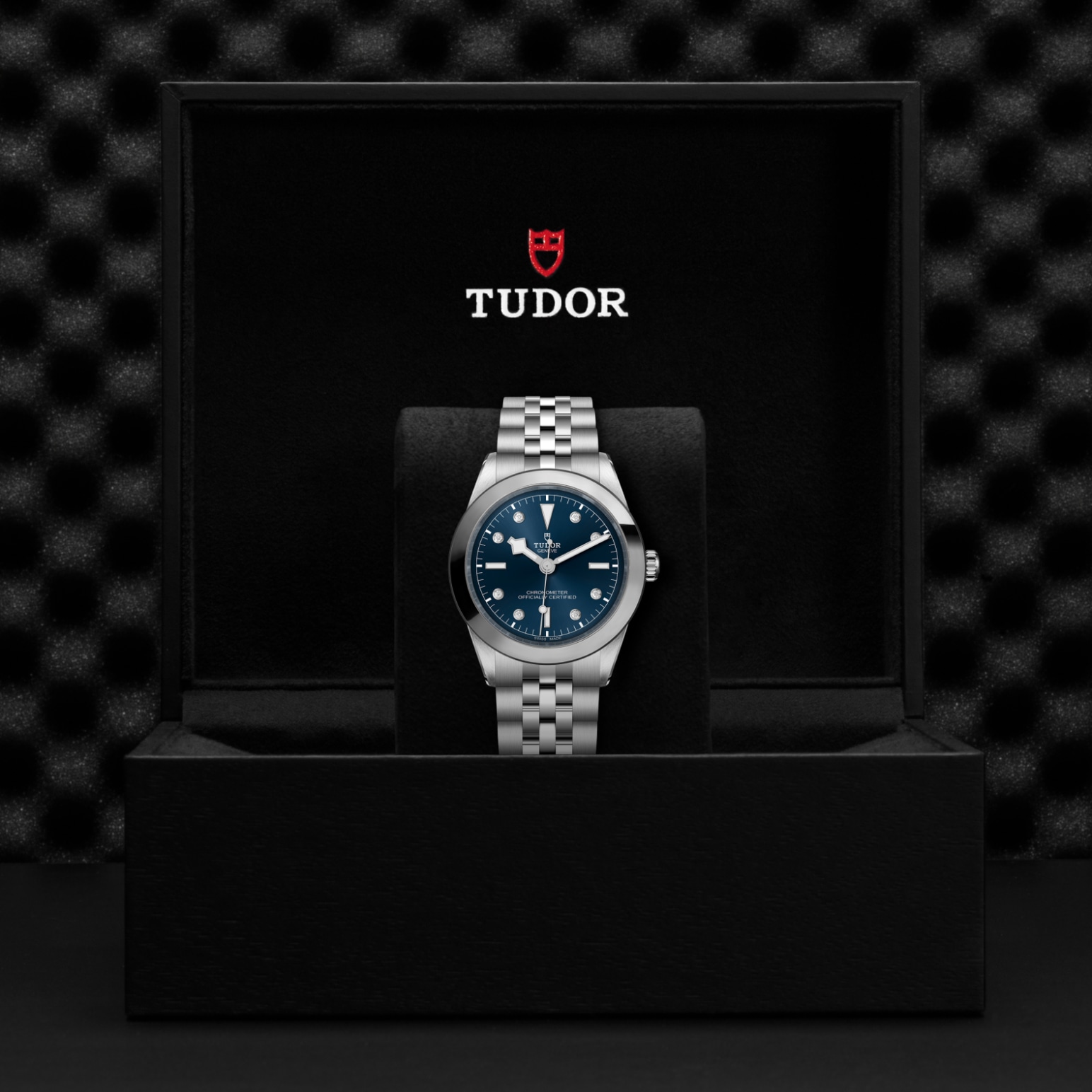 TUDOR Black Bay 31/36/39/41 Watch - M79660-0005 at Lenkersdorfer