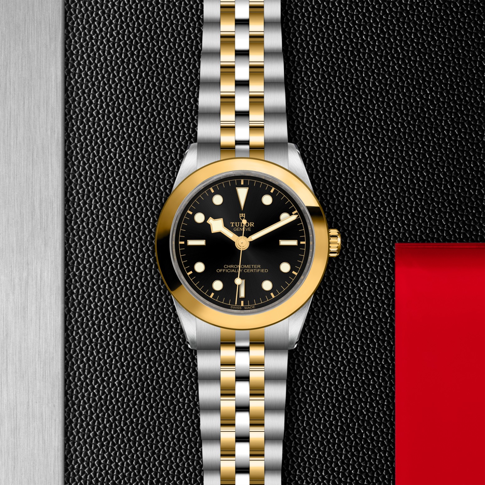 TUDOR Black Bay 31/36/39/41 S&G Watch - M79663-0001 at Lenkersdorfer