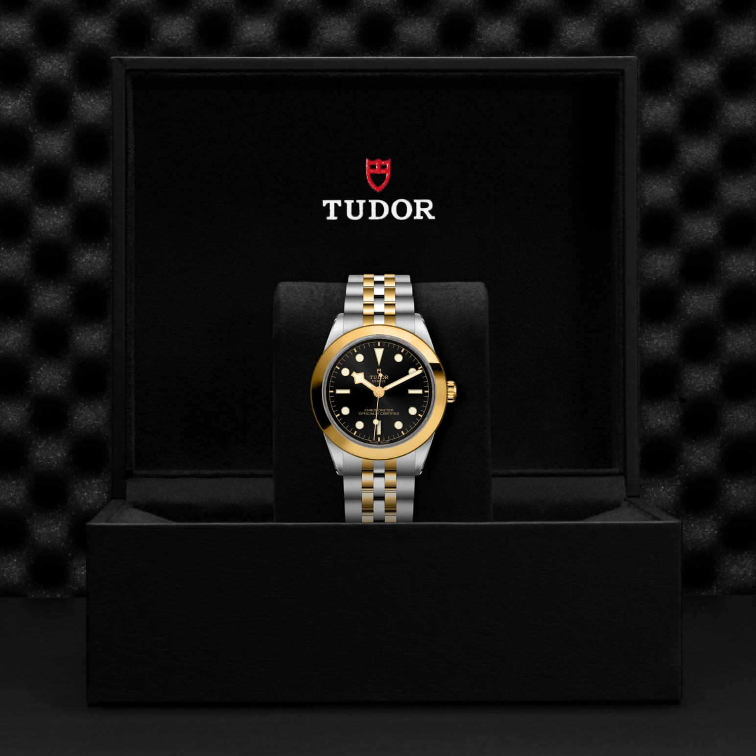 TUDOR Black Bay 31/36/39/41 S&G Watch - M79663-0001 at Lenkersdorfer