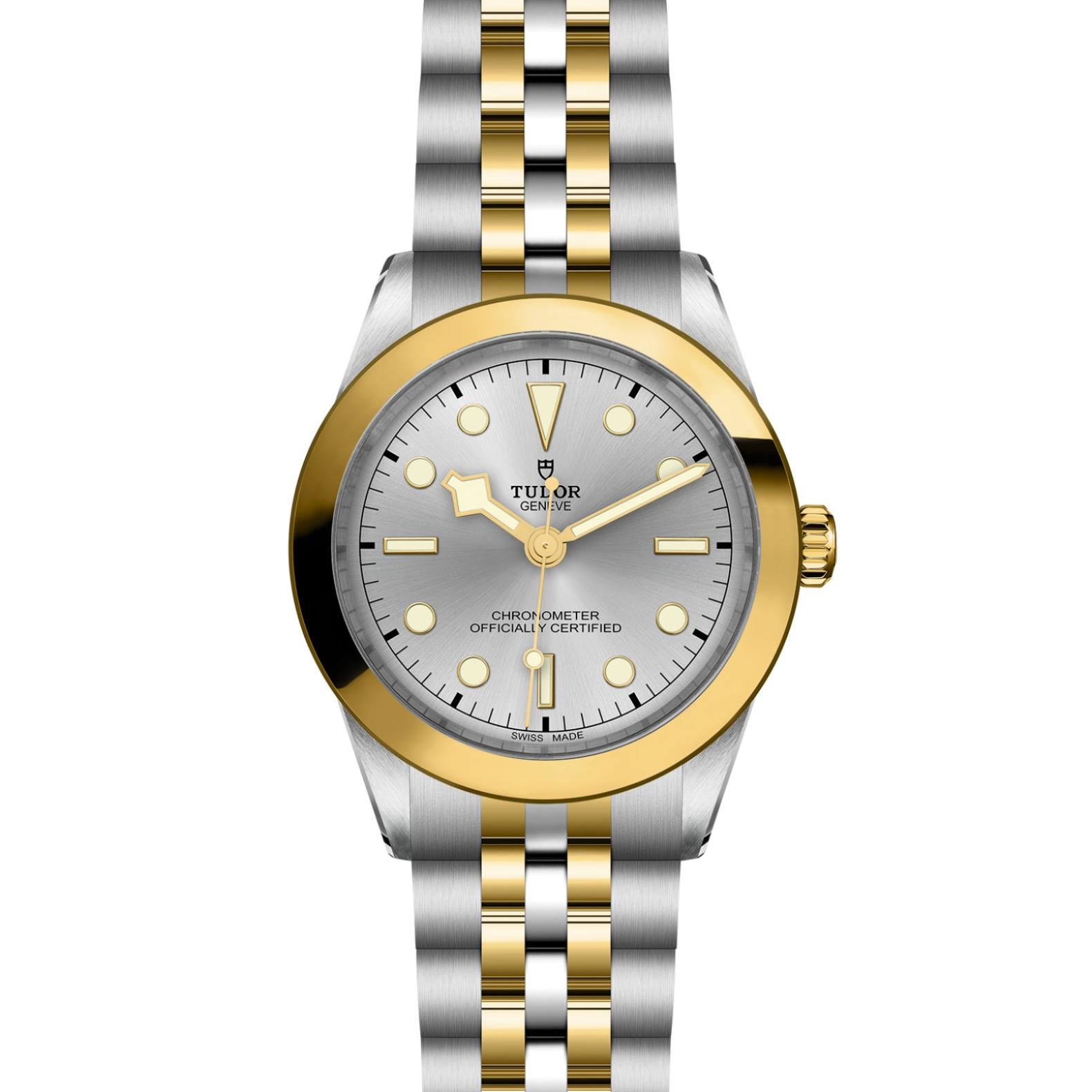 TUDOR Black Bay 31/36/39/41 S&G Watch - M79663-0002 at Lenkersdorfer