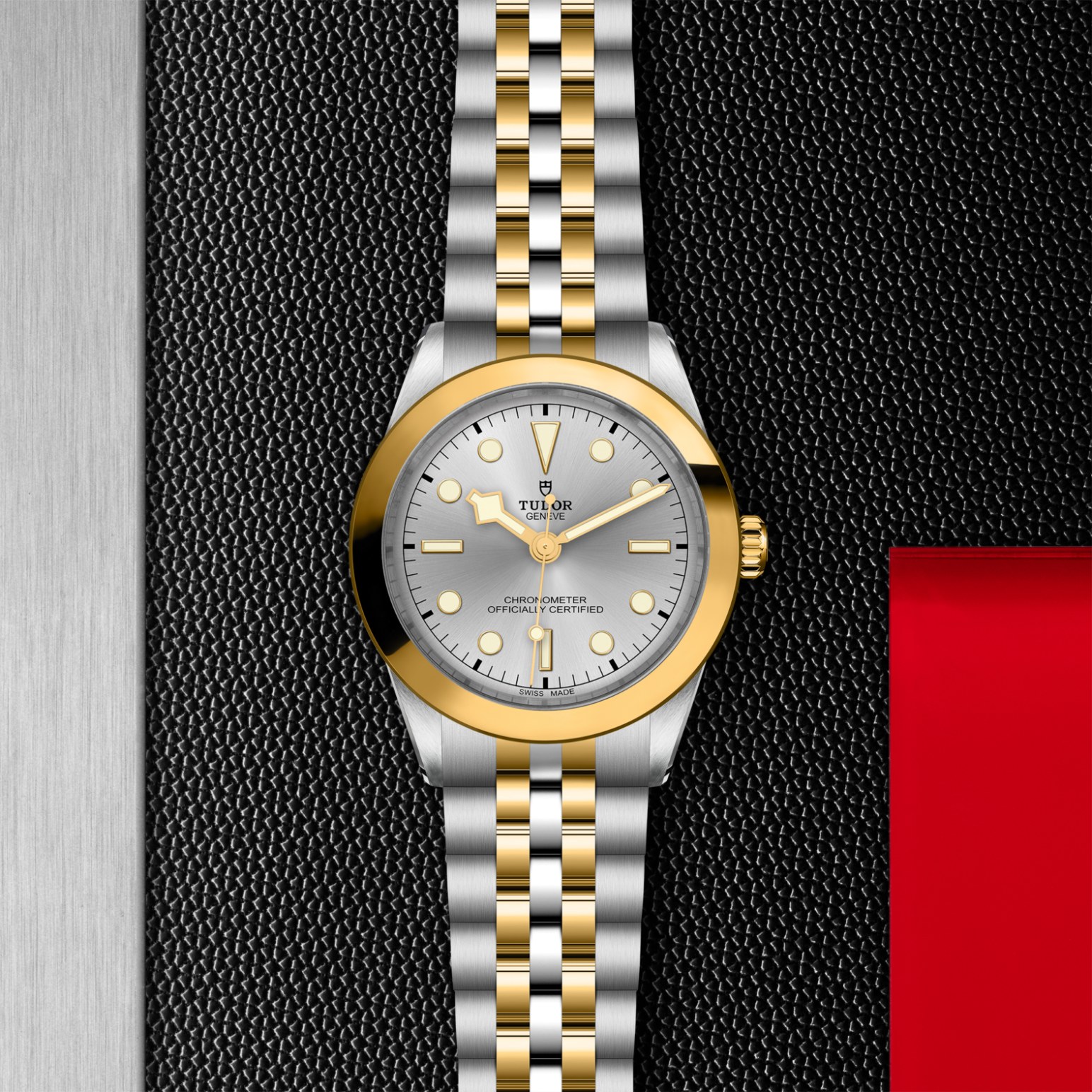 TUDOR Black Bay 31/36/39/41 S&G Watch - M79663-0002 at Lenkersdorfer