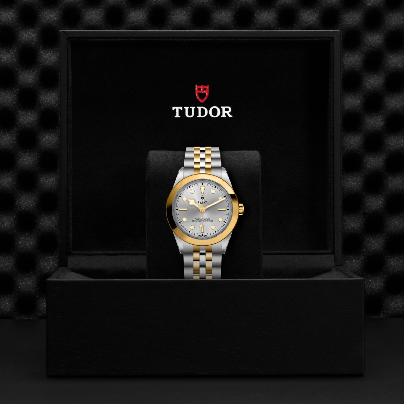 TUDOR Black Bay 31/36/39/41 S&G Watch - M79663-0002 at Lenkersdorfer