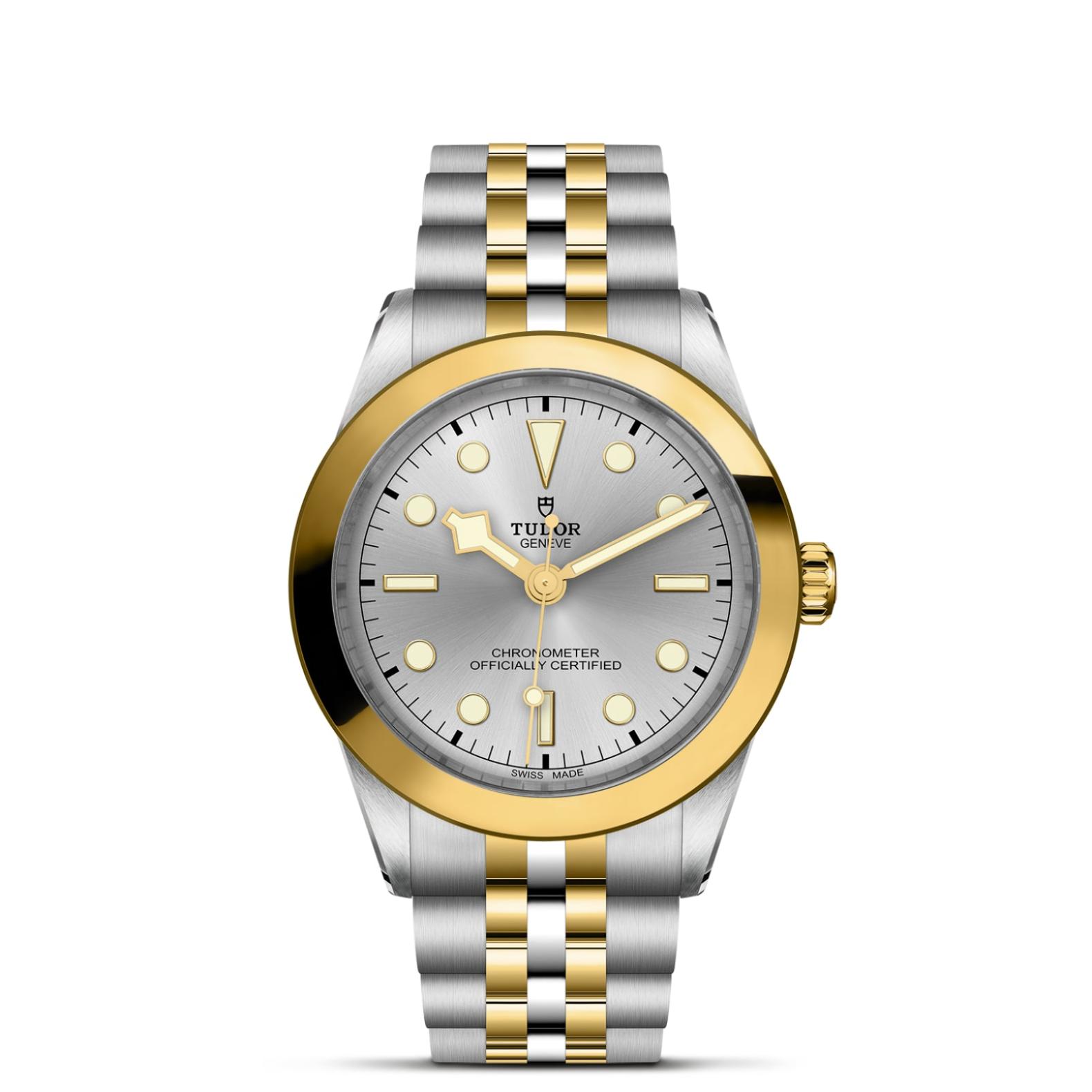 TUDOR Black Bay 31/36/39/41 S&G Watch - M79663-0002 at Lenkersdorfer