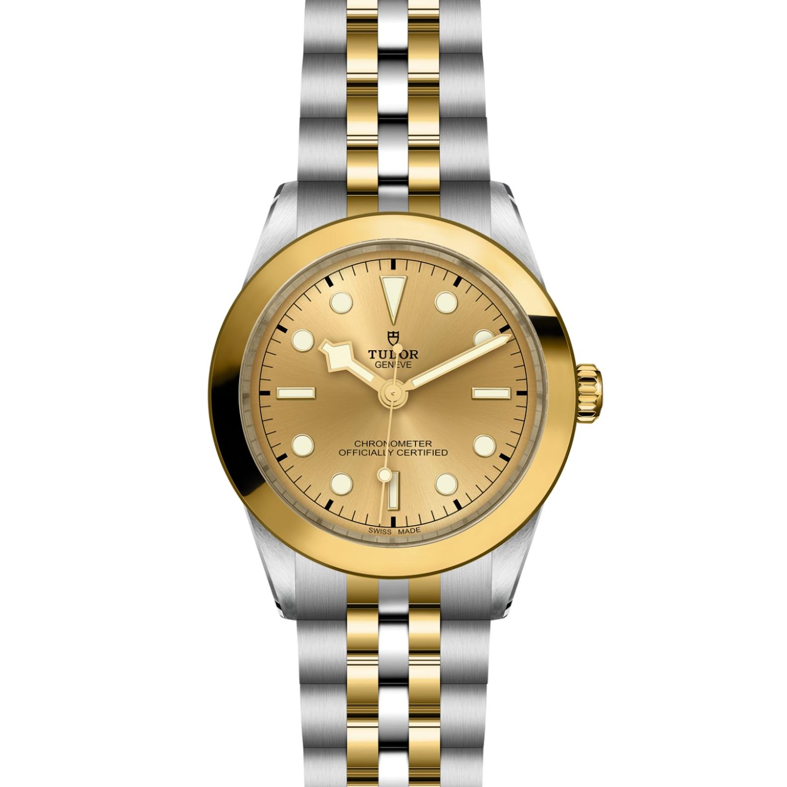 TUDOR Black Bay 31/36/39/41 S&G Watch - M79663-0005 at Lenkersdorfer