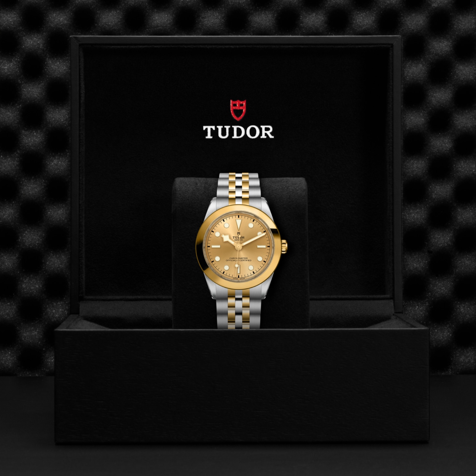TUDOR Black Bay 31/36/39/41 S&G Watch - M79663-0005 at Lenkersdorfer