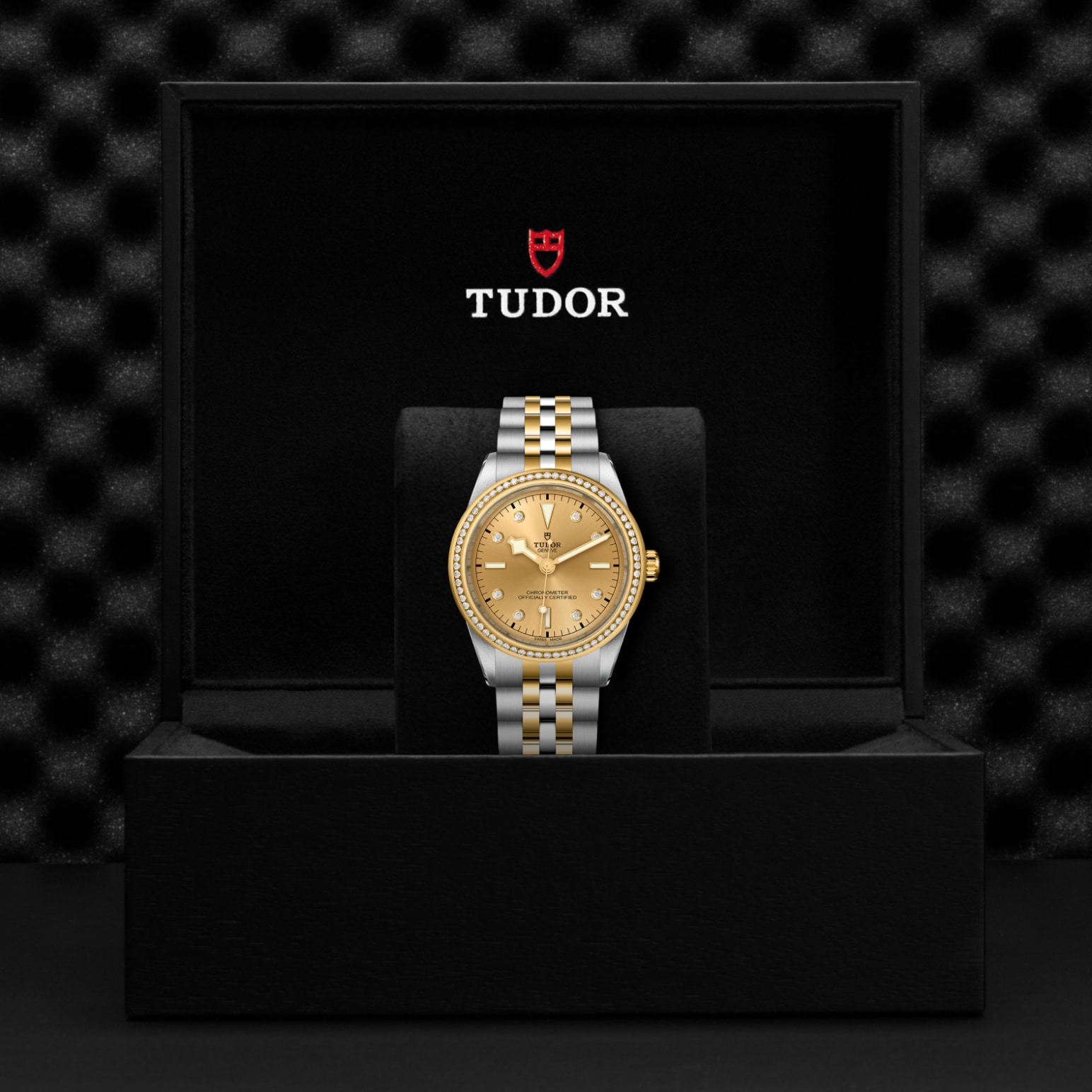 TUDOR Black Bay 31/36/39/41 S&G Watch - M79673-0007 at Lenkersdorfer