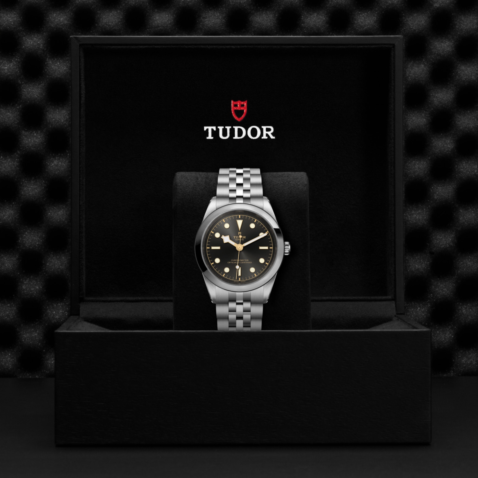 TUDOR Black Bay 31/36/39/41 Watch - M79680-0001 at Lenkersdorfer