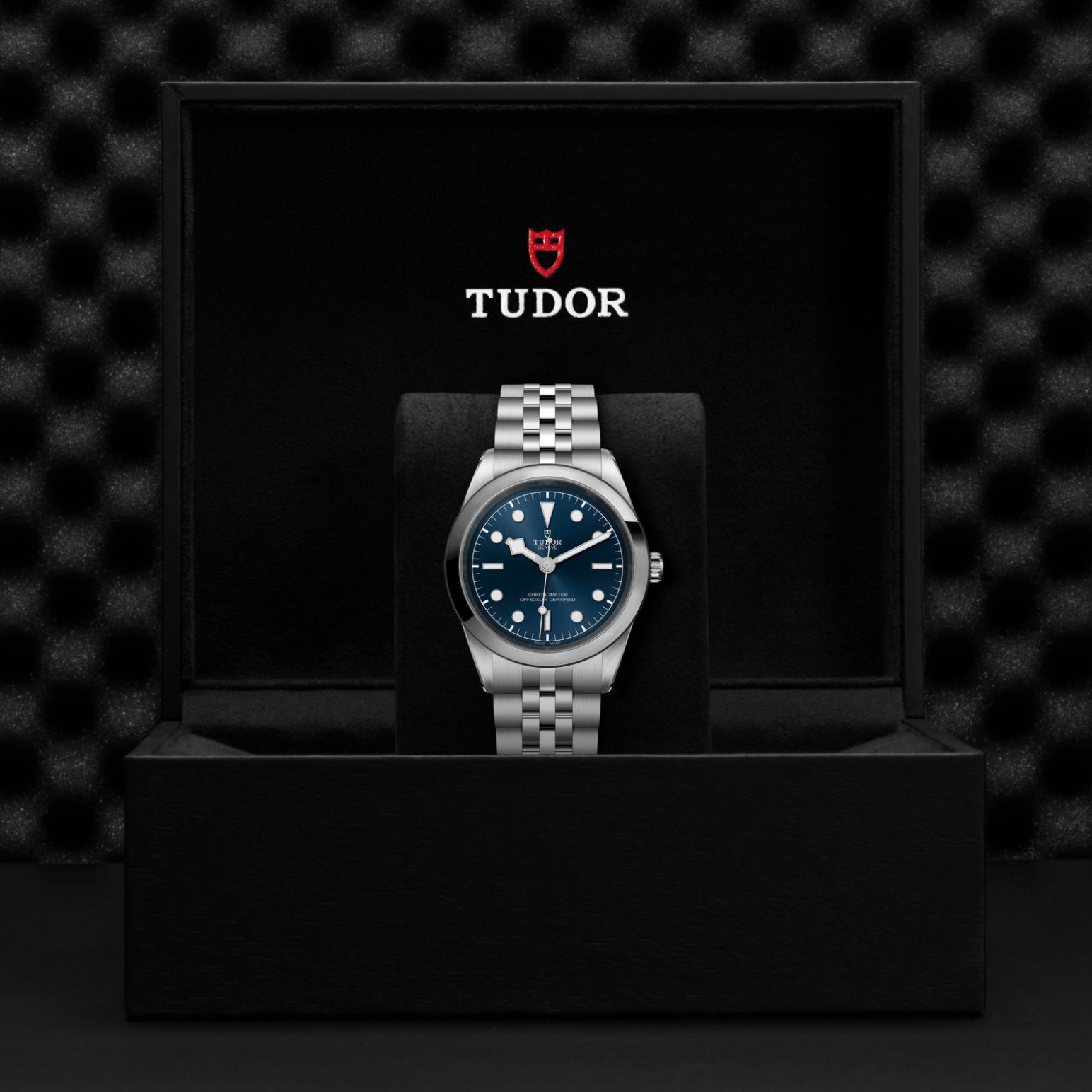 TUDOR Black Bay 31/36/39/41 Watch - M79680-0002 at Lenkersdorfer