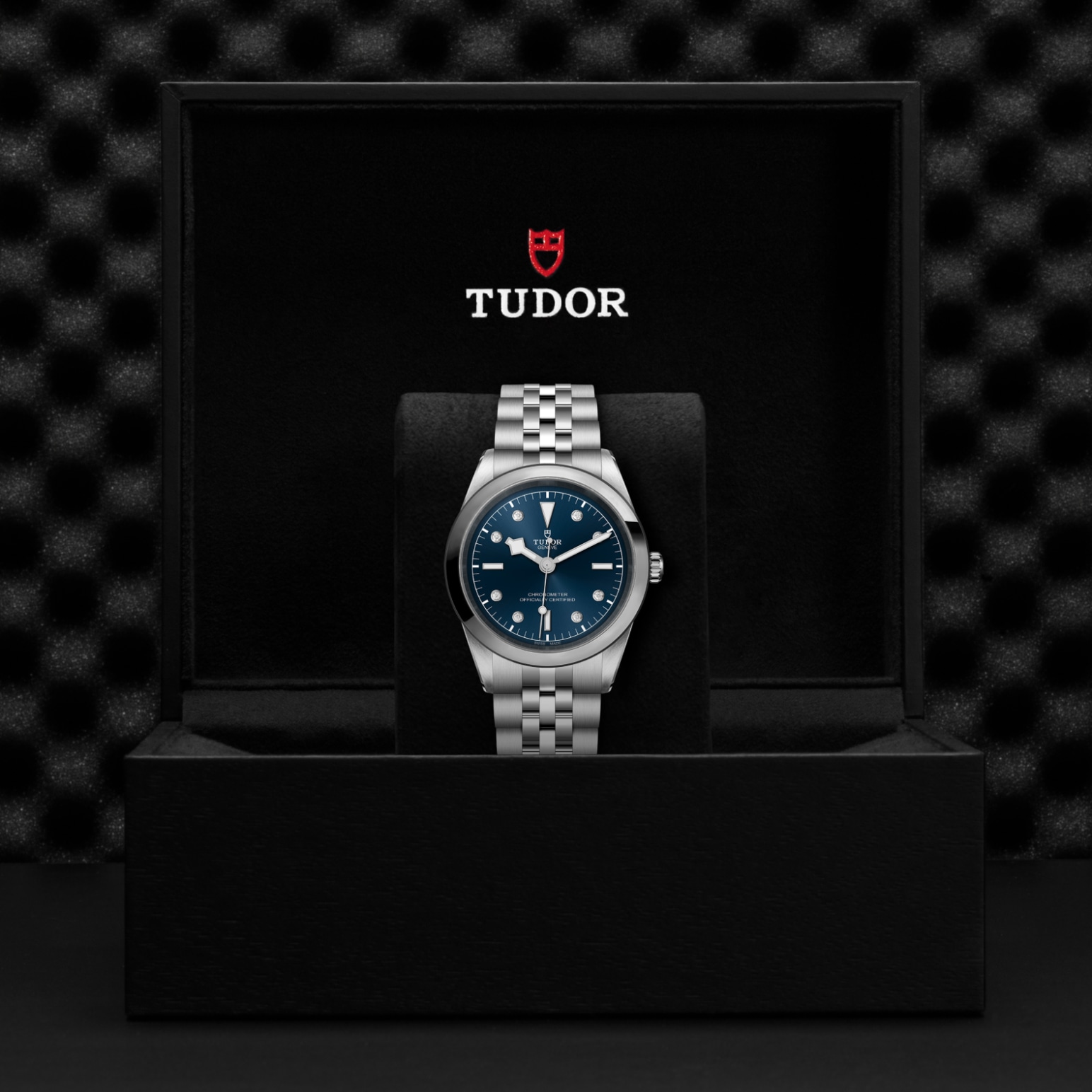 TUDOR Black Bay 31/36/39/41 Watch - M79680-0005 at Lenkersdorfer