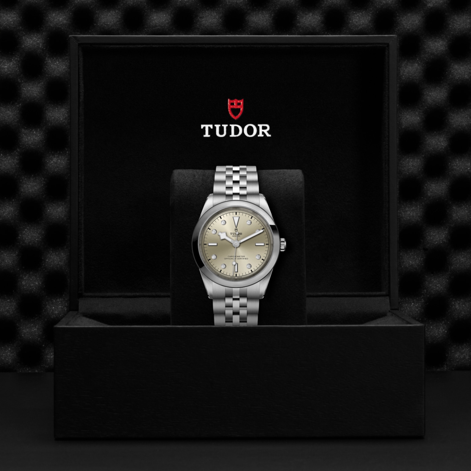TUDOR Black Bay 31/36/39/41 Watch - M79680-0006 at Lenkersdorfer
