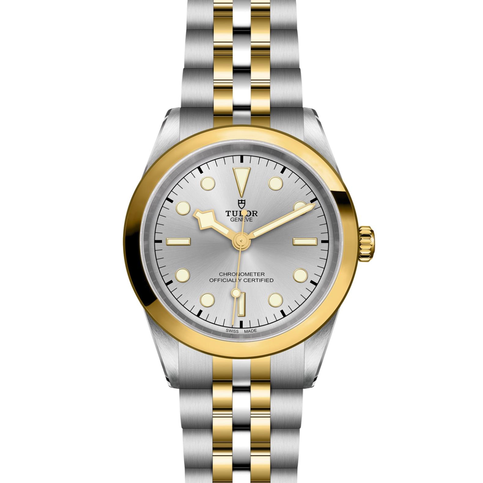 TUDOR Black Bay 31/36/39/41 S&G Watch - M79683-0002 at Lenkersdorfer
