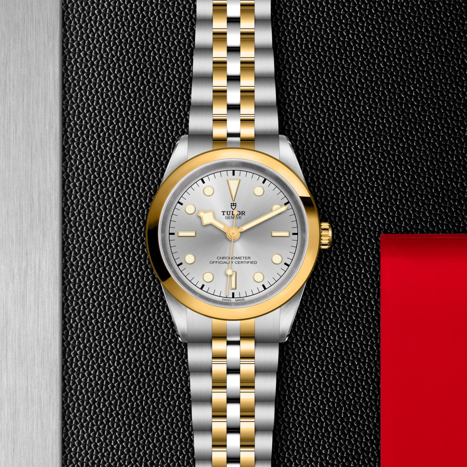 TUDOR Black Bay 31/36/39/41 S&G Watch - M79683-0002 at Lenkersdorfer