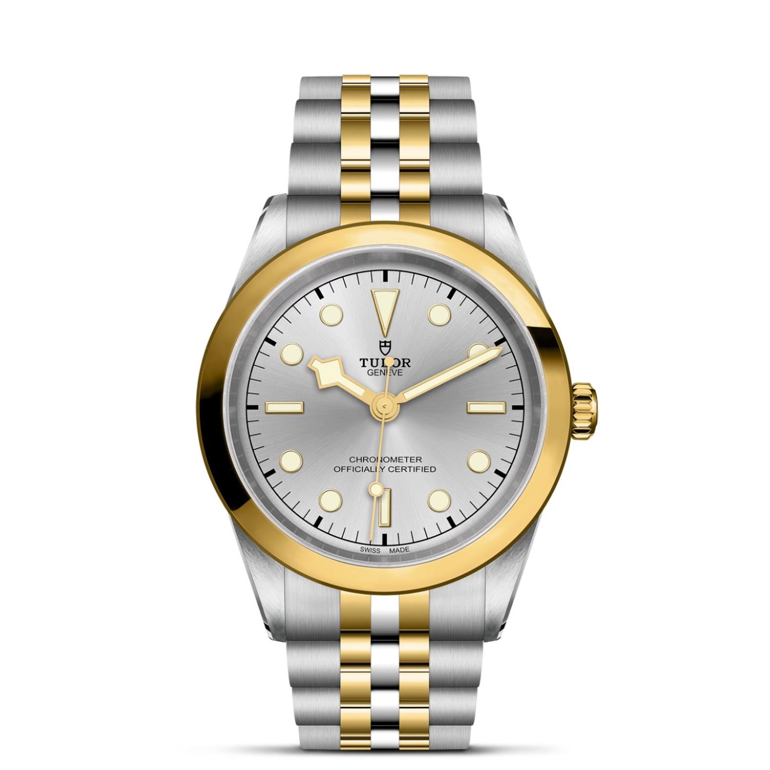 TUDOR Black Bay 31/36/39/41 S&G Watch - M79683-0002 at Lenkersdorfer
