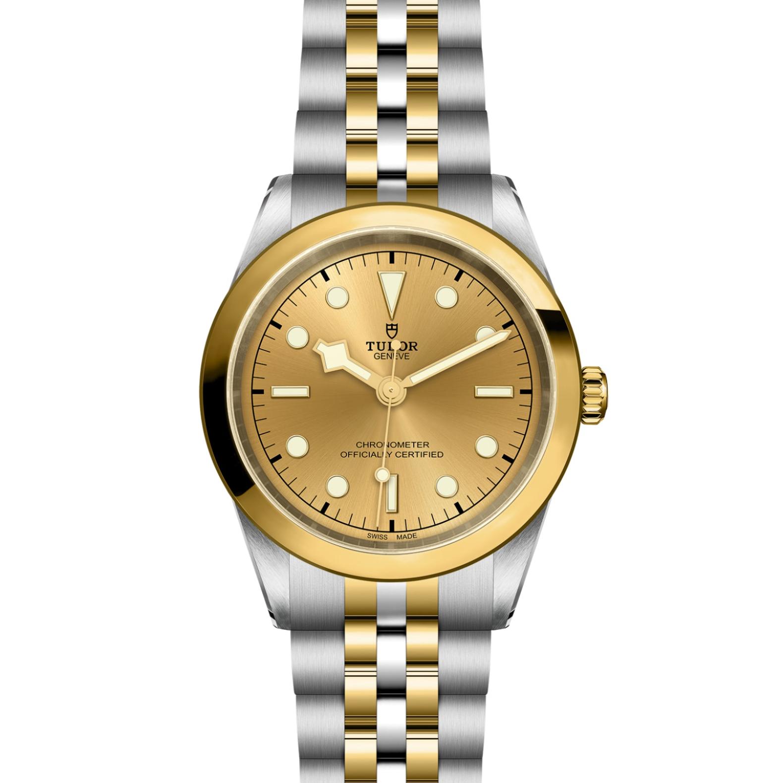 TUDOR Black Bay 31/36/39/41 S&G Watch - M79683-0005 at Lenkersdorfer