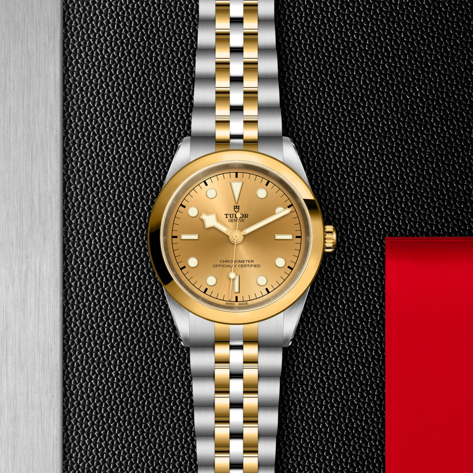 TUDOR Black Bay 31/36/39/41 S&G Watch - M79683-0005 at Lenkersdorfer