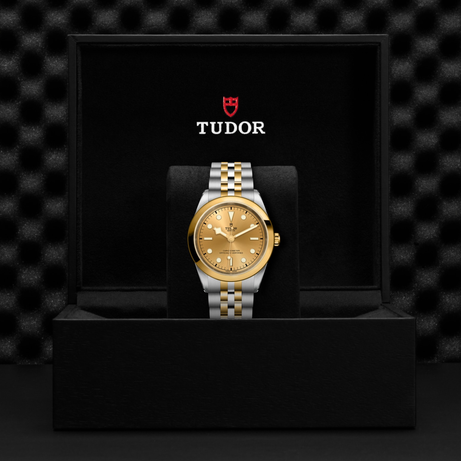 TUDOR Black Bay 31/36/39/41 S&G Watch - M79683-0005 at Lenkersdorfer