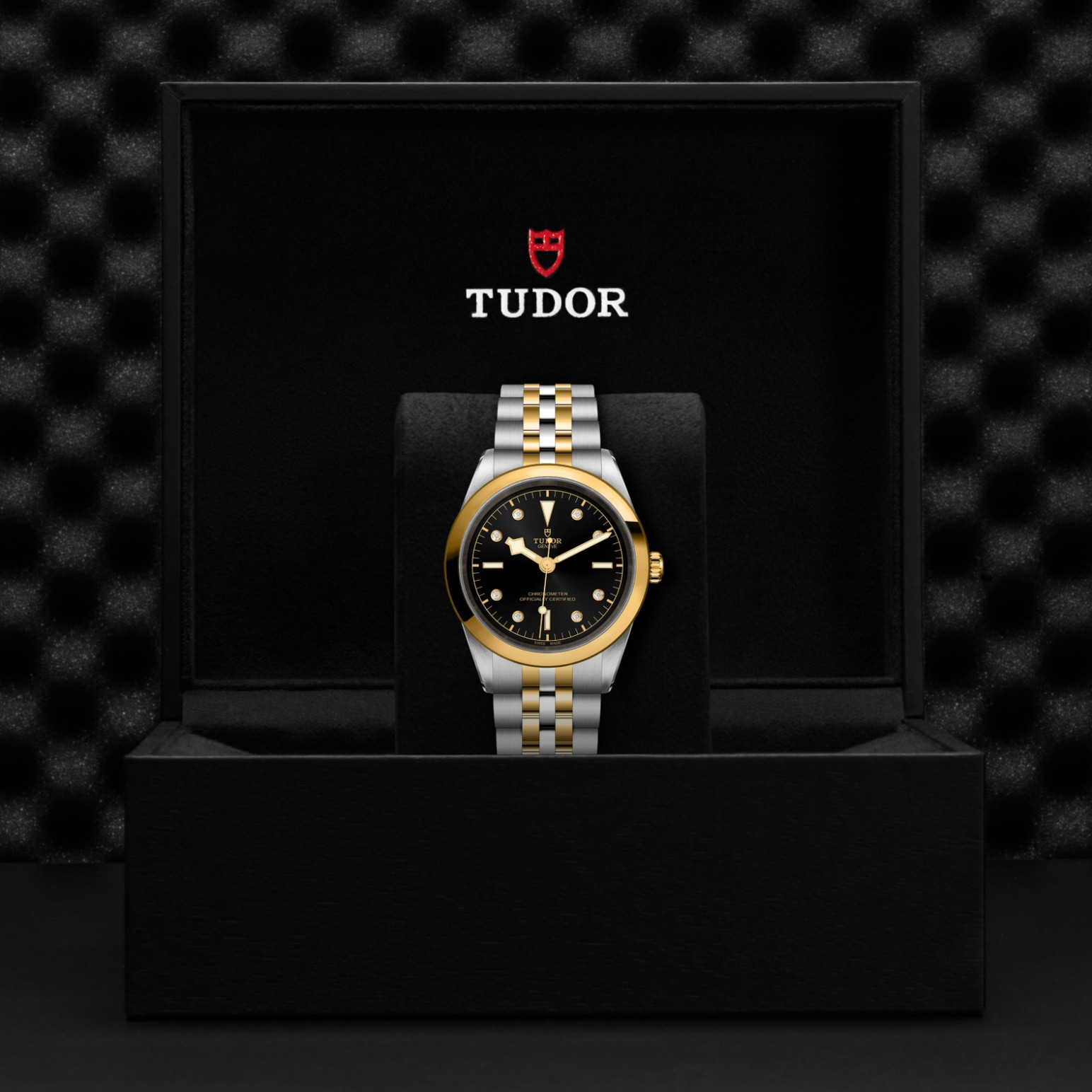 TUDOR Black Bay 31/36/39/41 S&G Watch - M79683-0006 at Lenkersdorfer