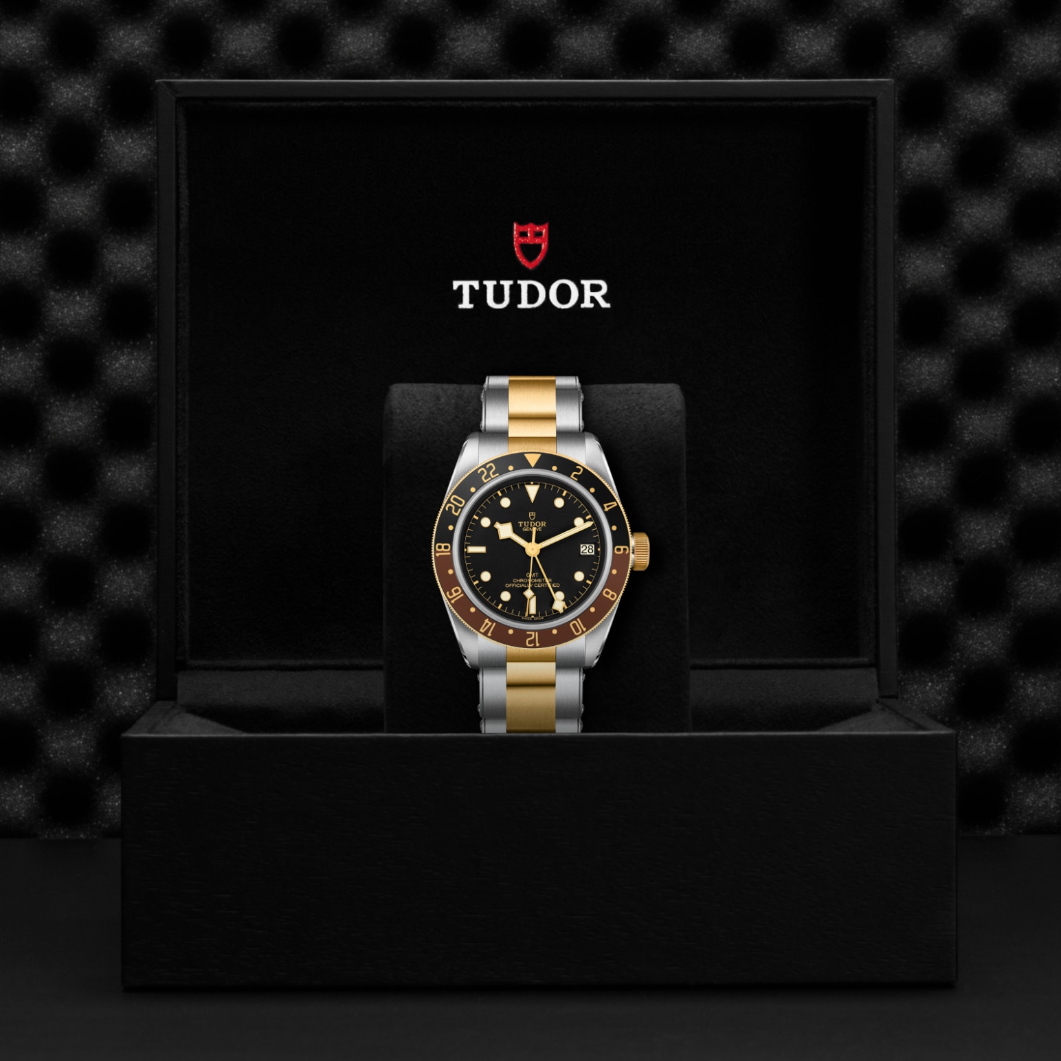 TUDOR Black Bay GMT Watch - M79833MN-0001 at Lenkersdorfer