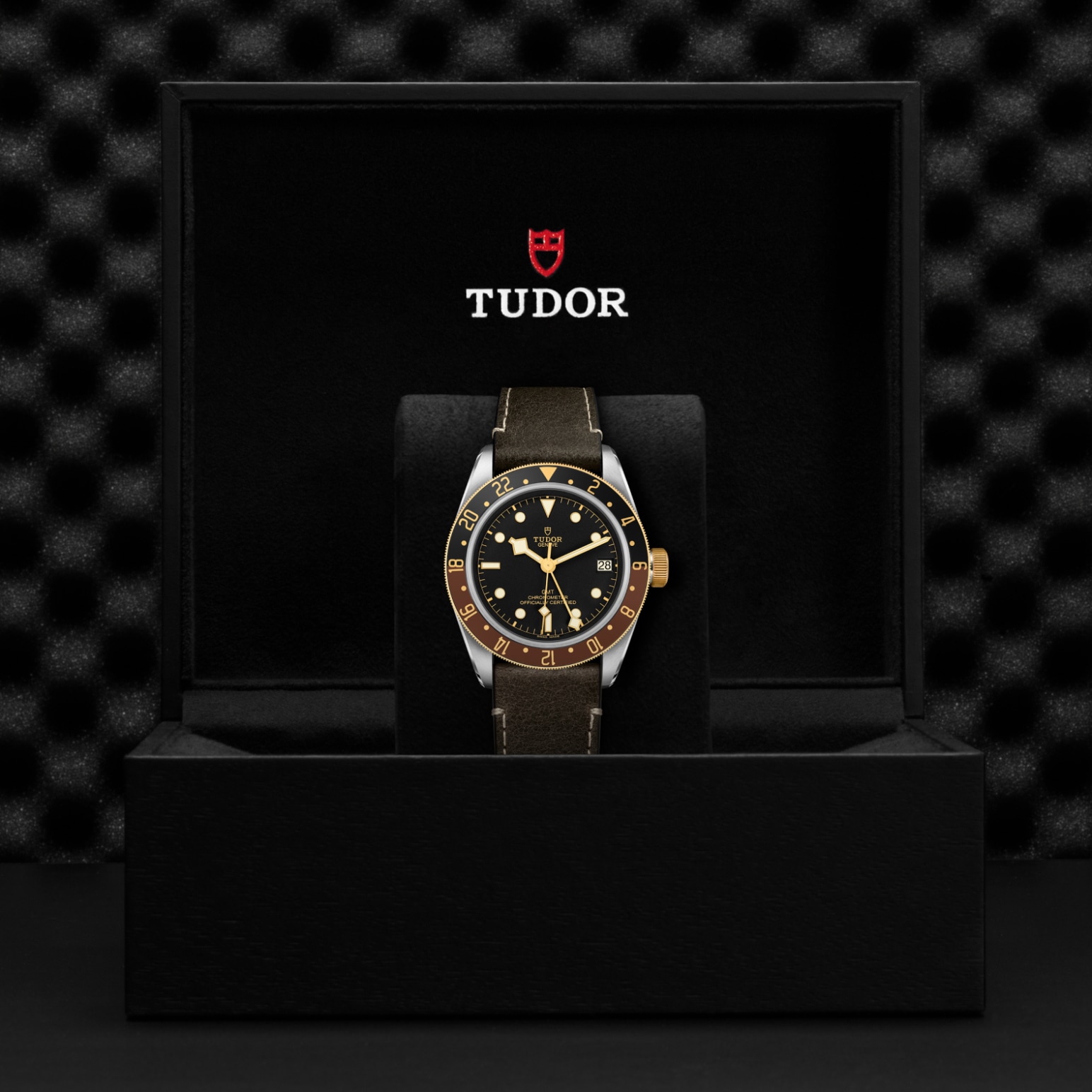 TUDOR Black Bay GMT Watch - M79833MN-0003 at Lenkersdorfer