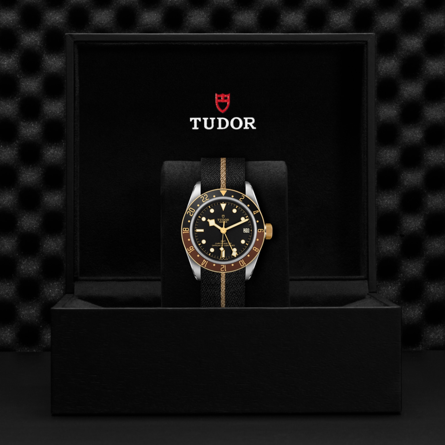 TUDOR Black Bay GMT Watch - M79833MN-0004 at Lenkersdorfer